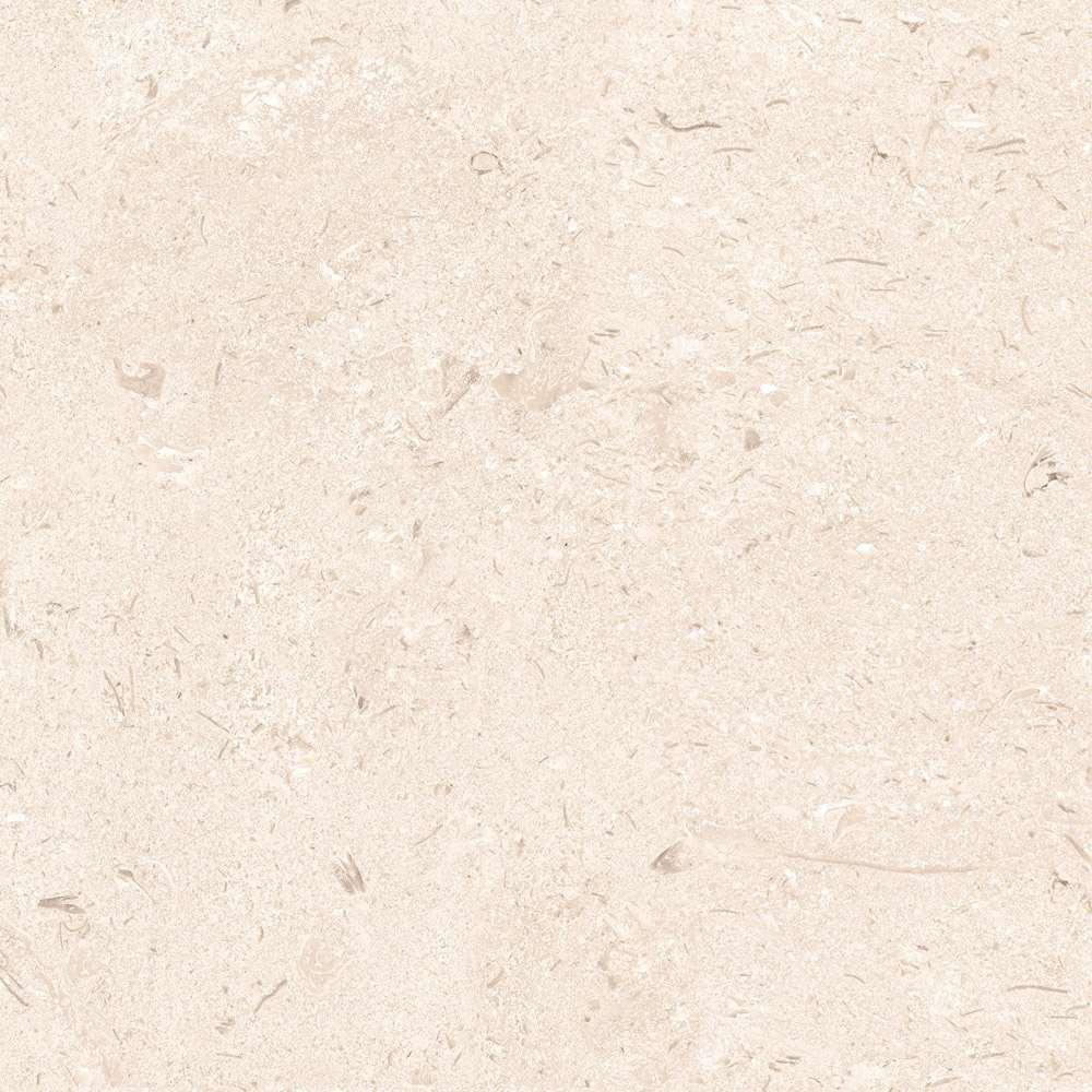SHELLSTONE